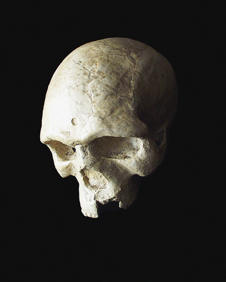 <p>Unisa establishes its Museum of Anthropology and Archaeology. The museum&rsquo;s first artefact is a cast of the cranium of <em>Homo neanderthalensis</em> or &ldquo;Neanderthal man&rdquo;.</p>